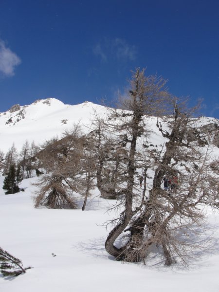 pokljuka4.jpg