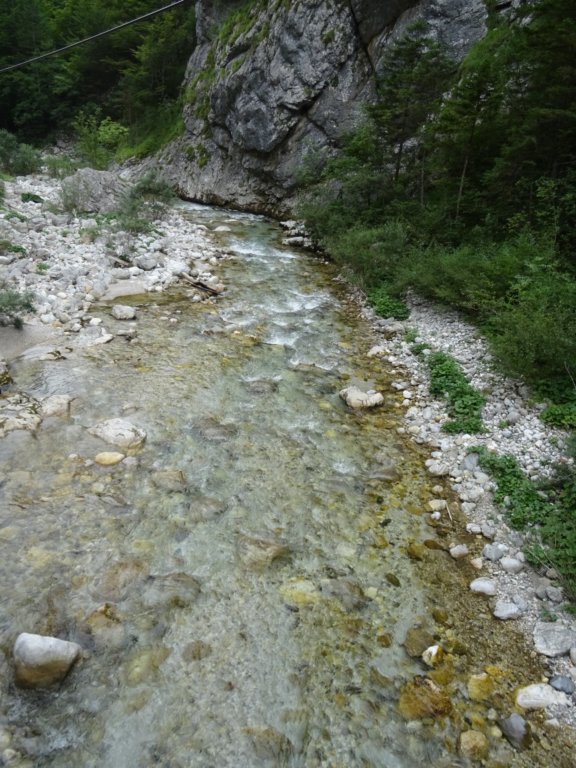 naute28.jpg