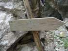 naute29_small.jpg