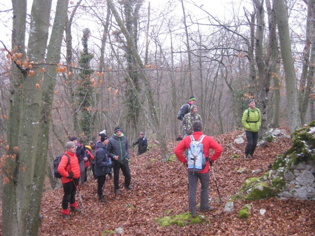 vrhumberkkozjek14.jpg