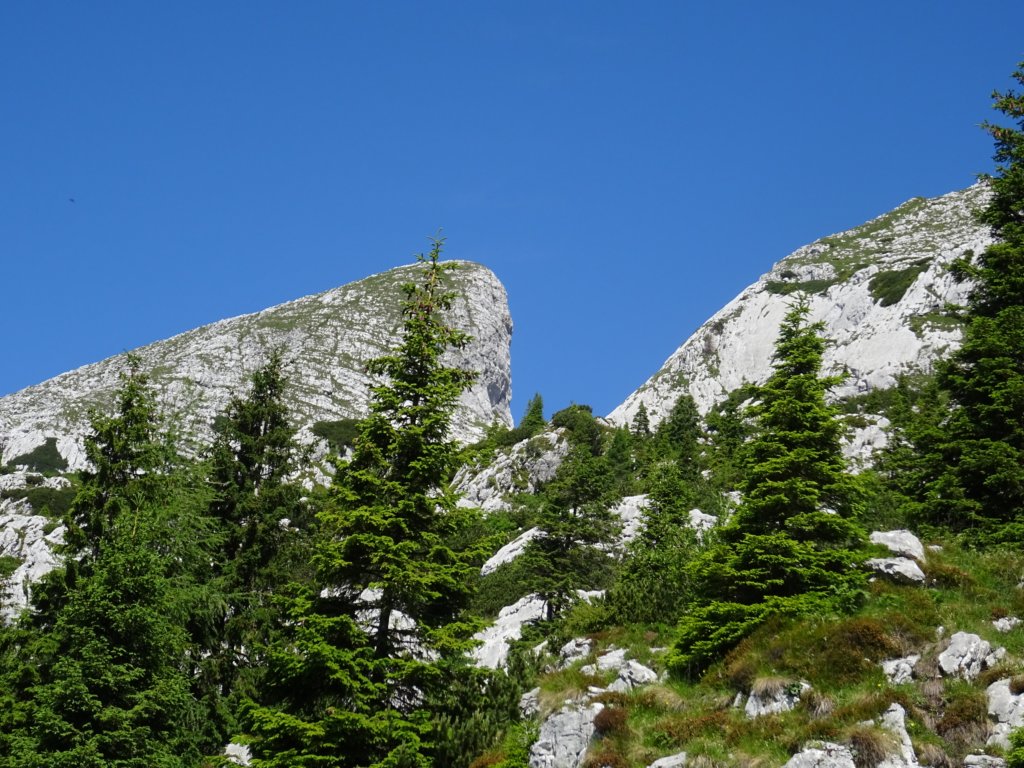 velikibabanskiskedenj21.jpg