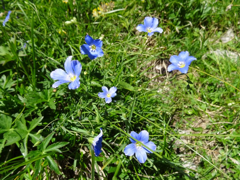 velikibabanskiskedenj27.jpg