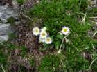 velikibabanskiskedenj83_small.jpg