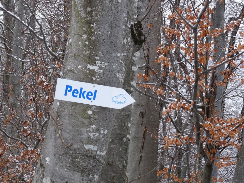velikijavornik44.jpg