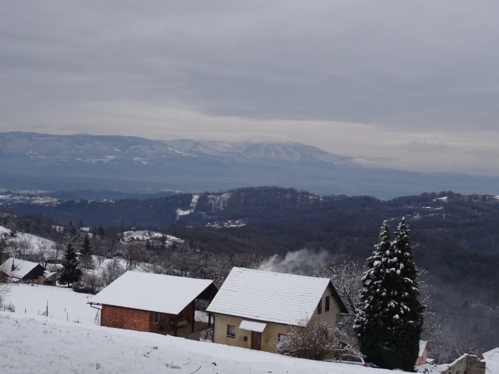 velikijavornik6.jpg