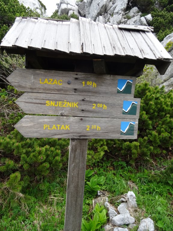 velikirisnjak11.jpg