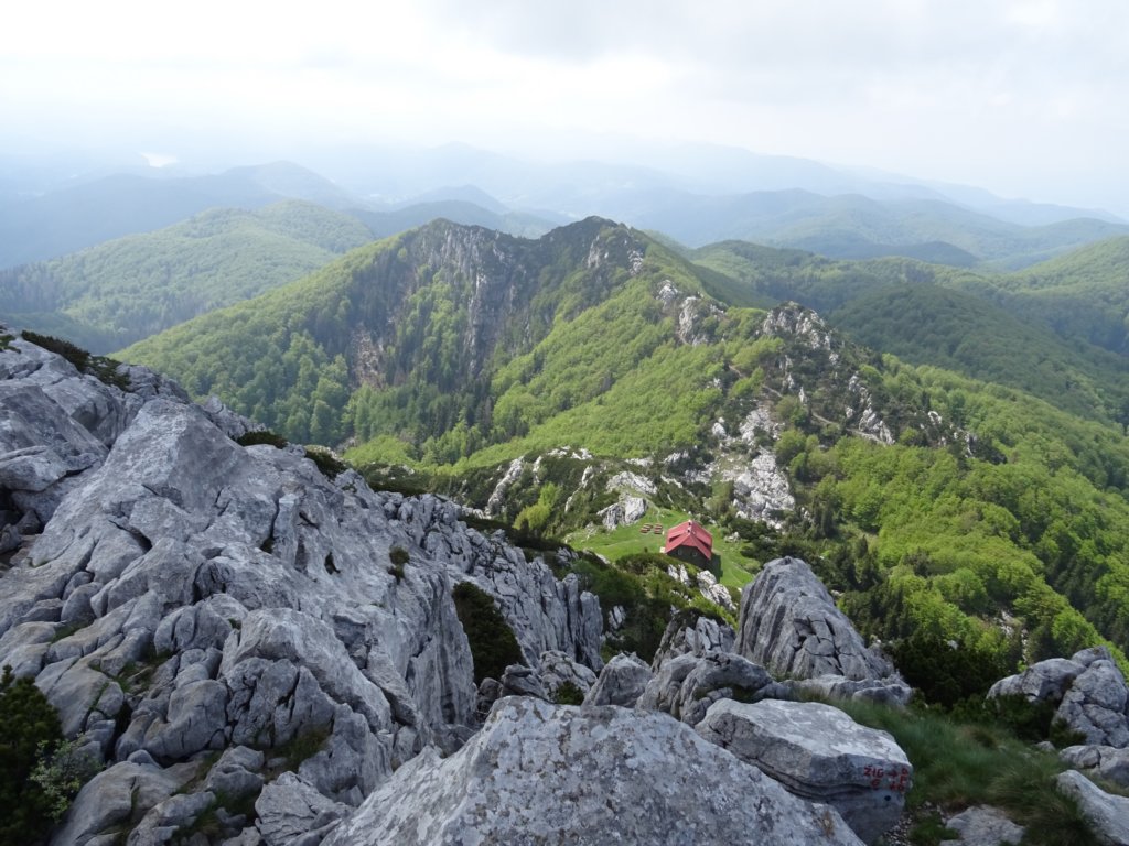 velikirisnjak18.jpg