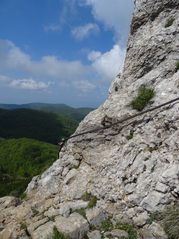 velikirisnjak27.jpg