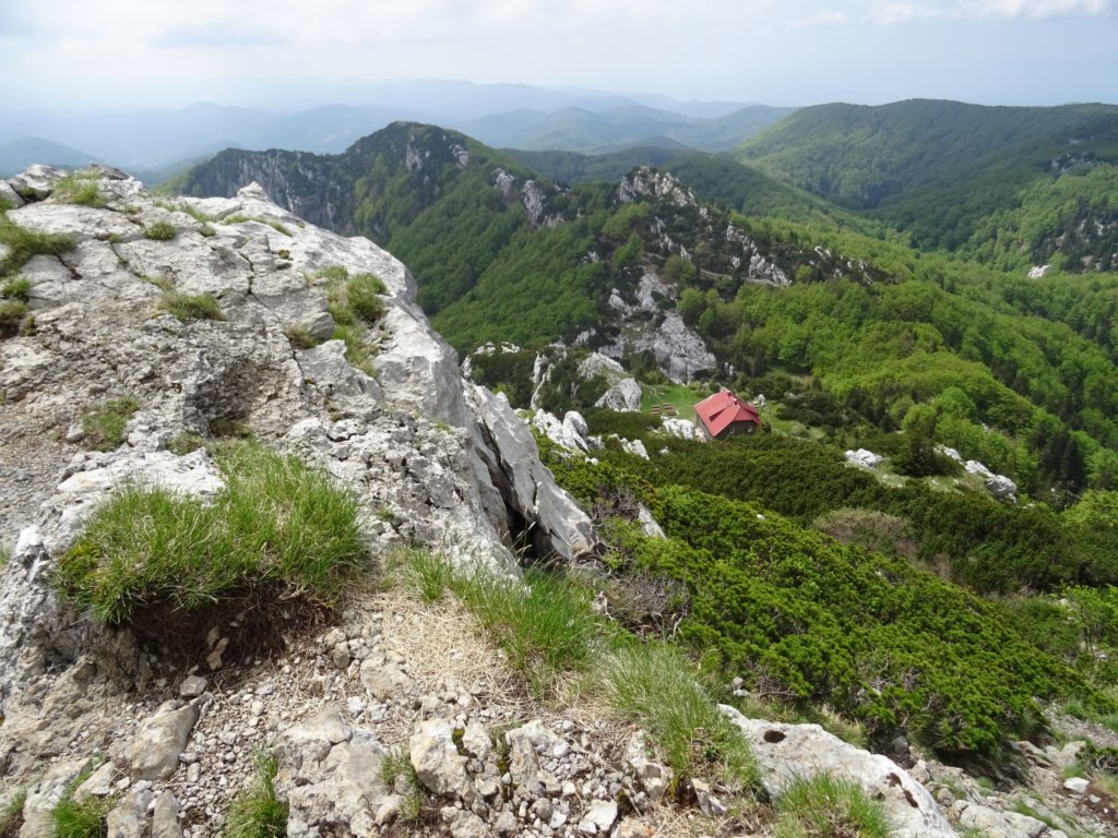 velikirisnjak29.jpg