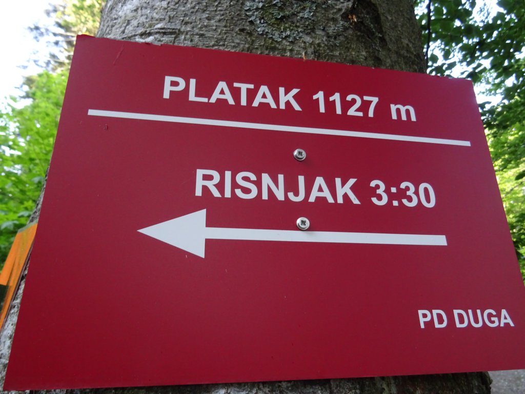 velikirisnjak4.jpg
