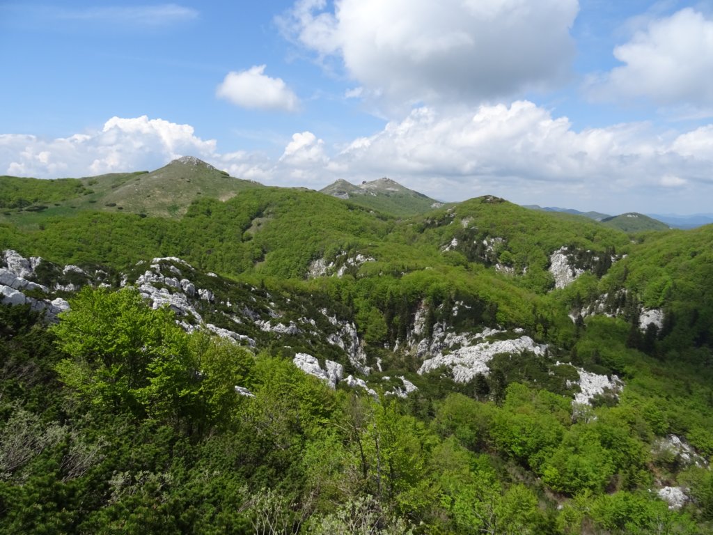 velikirisnjak43.jpg