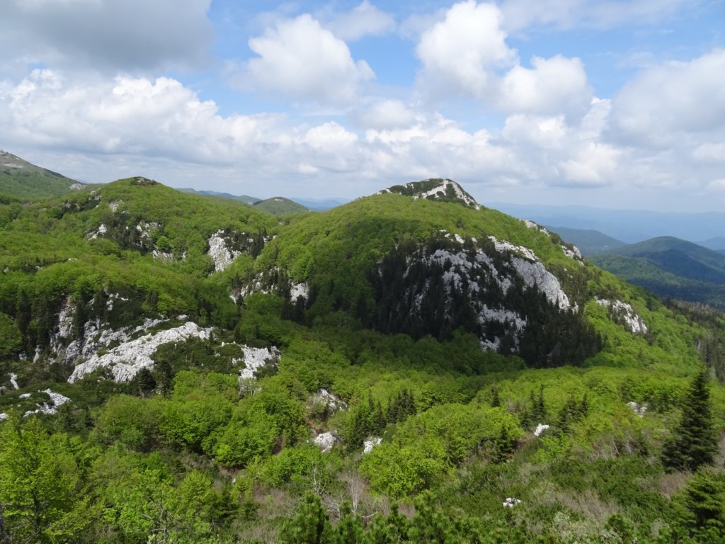 velikirisnjak44.jpg