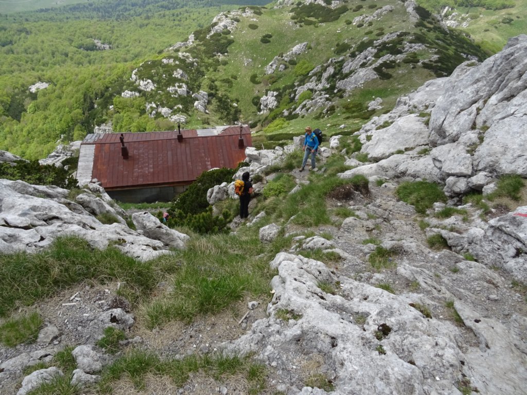 velikirisnjak52.jpg