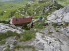 velikirisnjak52_small.jpg