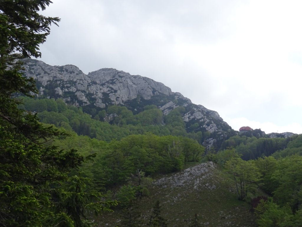 velikirisnjak9.jpg