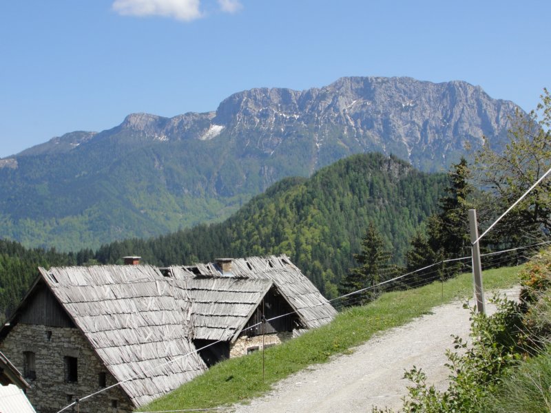 velikiinmalivrh76.jpg