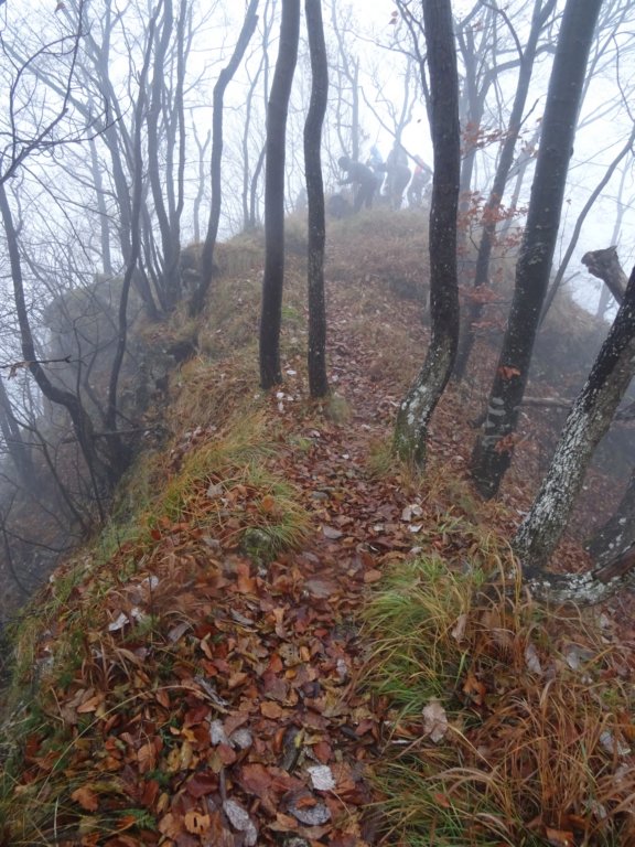 velikokozje202113.jpg