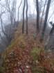 velikokozje202113_small.jpg