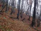 velikokozje202124_small.jpg