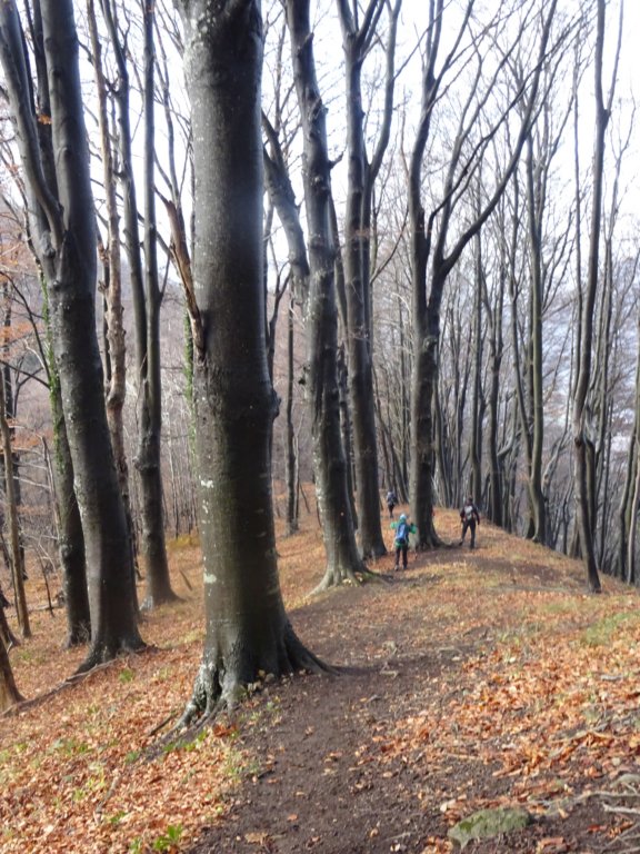 velikokozje202127.jpg