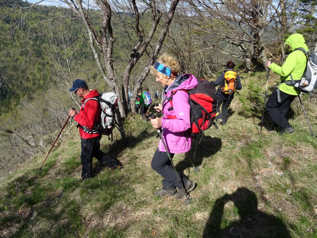 velikolakepoti19.jpg