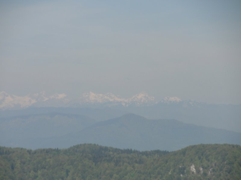 velikokozje38.jpg