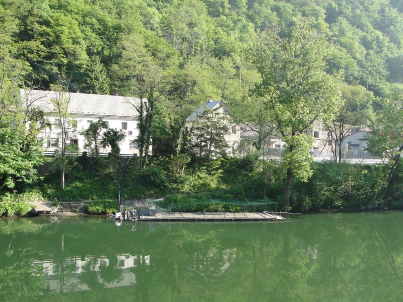 velikokozje4.jpg
