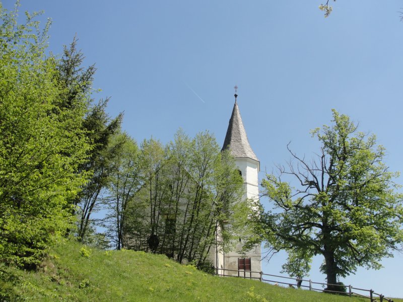 velikokozje61.jpg