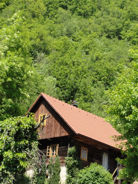 velikokozje89.jpg