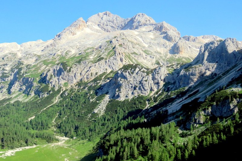 vernar8.jpg