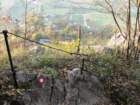 vinskagora12_small.jpg