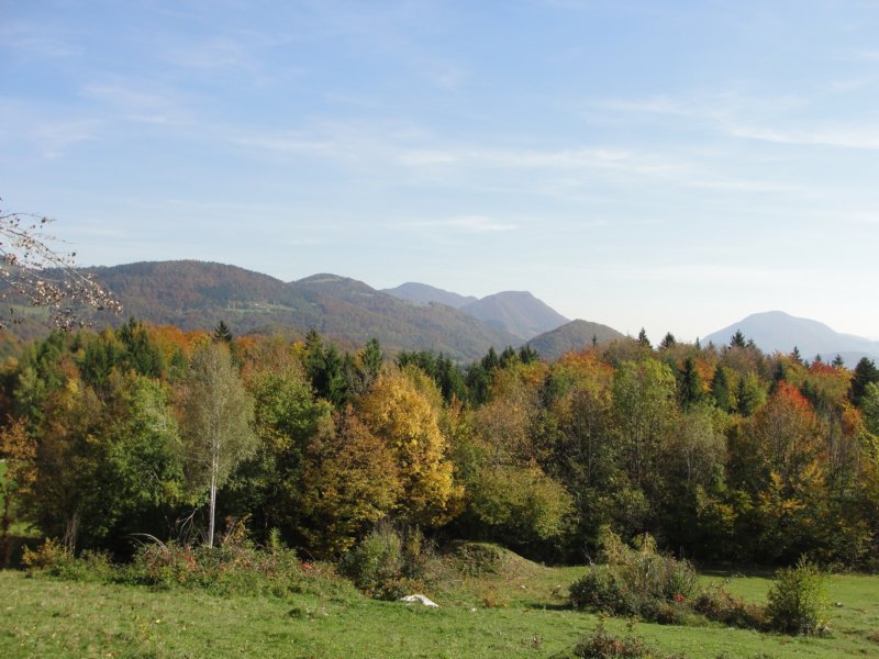 vinskagora38.jpg