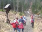 svviarje5_small.jpg