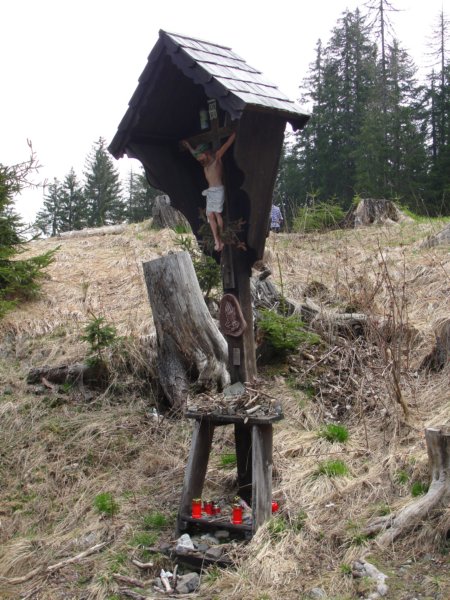 svviarje6.jpg