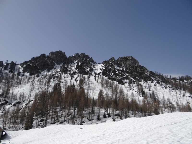 viarje201323.jpg