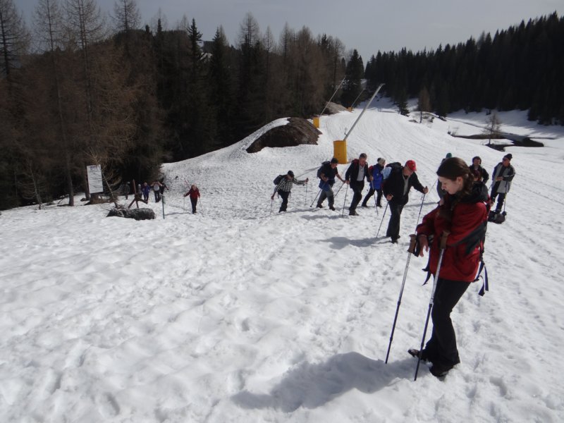 viarje201325.jpg