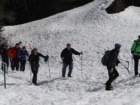 viarje201329_small.jpg