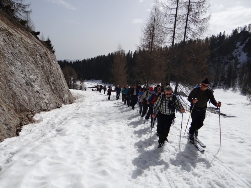 viarje201332.jpg