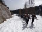 viarje201332_small.jpg