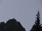 viarje201333_small.jpg