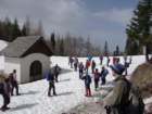 viarje201339_small.jpg