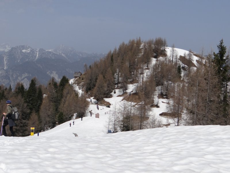 viarje201349.jpg