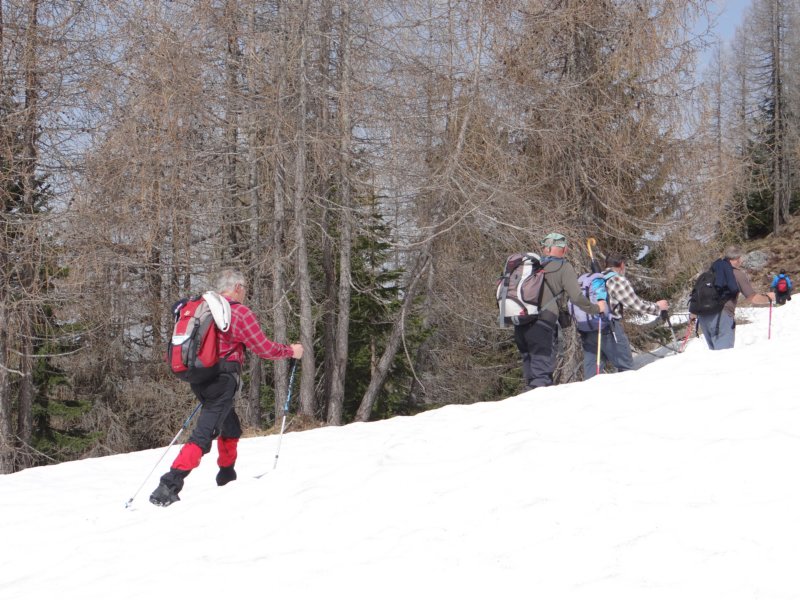 viarje201351.jpg