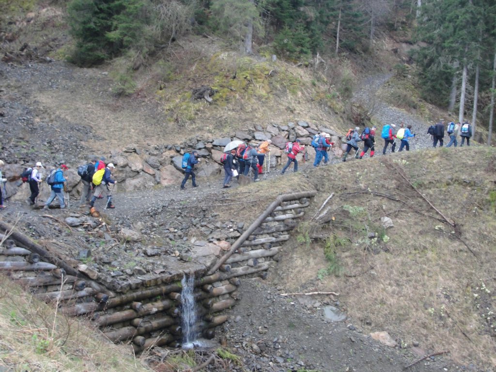 svviarje201511.jpg