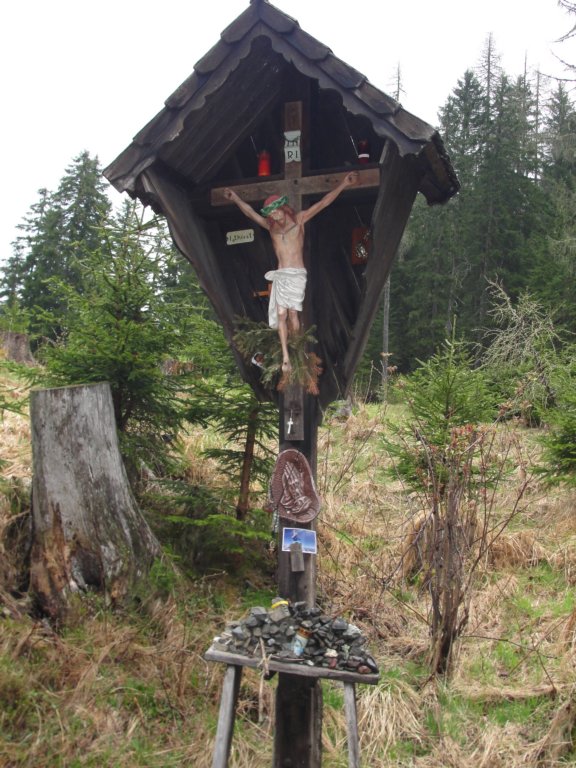 svviarje20156.jpg
