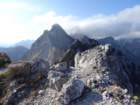 mavrinc50_small.jpg