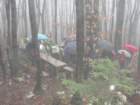 vrhinumberk12_small.jpg