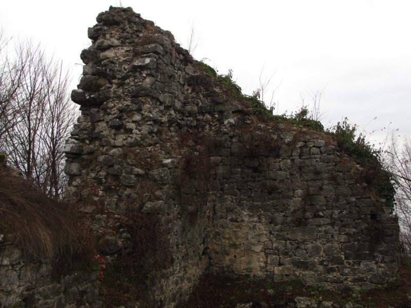 vrhinumberk40.jpg