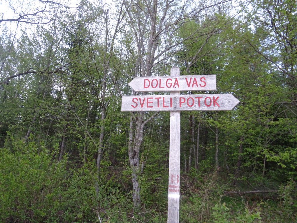 pomedvedovihstopinjah36.jpg