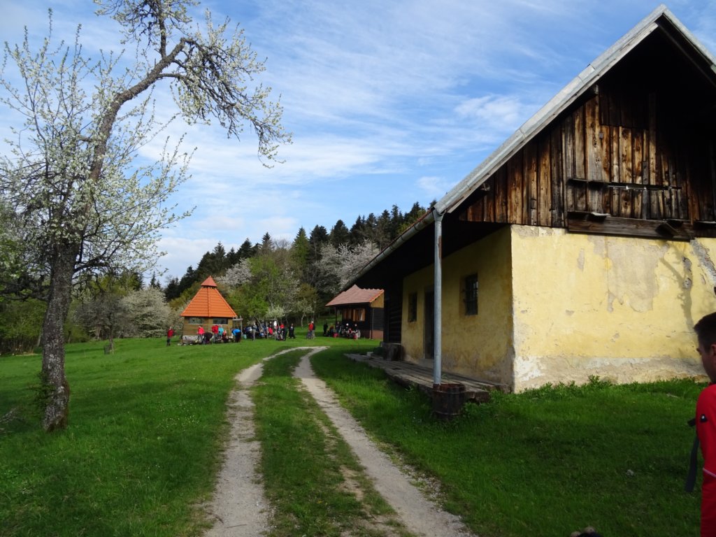 pomedvedovihstopinjah8.jpg